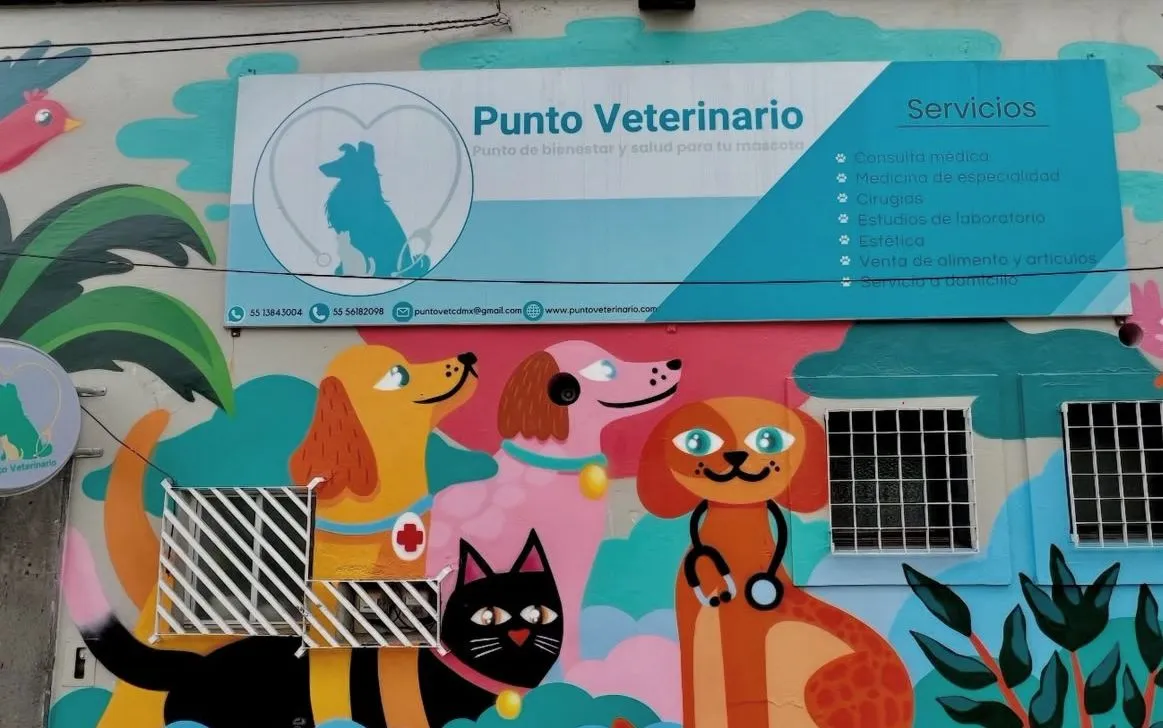 Fachada de la clínica Punto Veterinario sobre Av. División del Norte en San Pablo Tepetlapa
